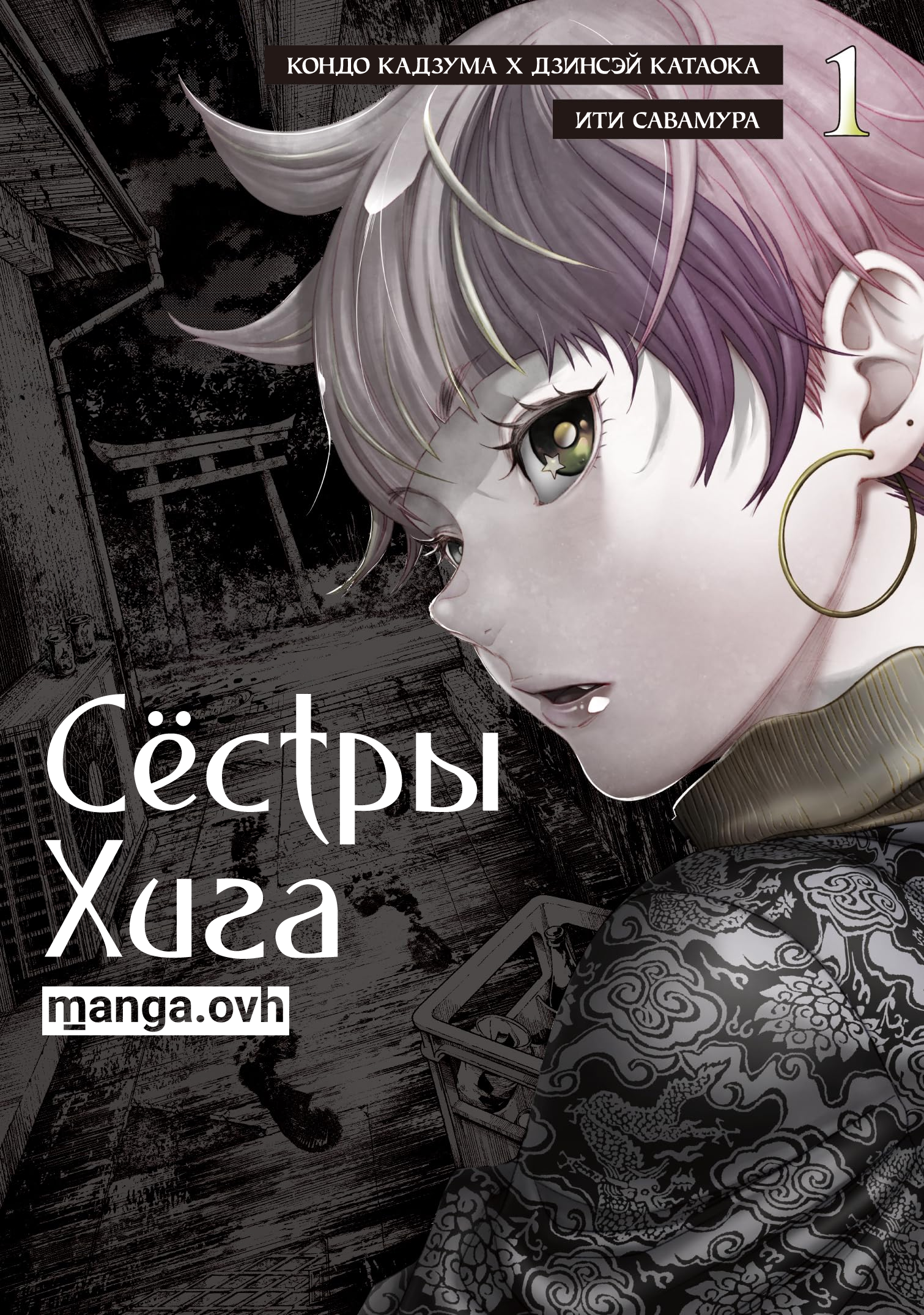 Сёстры Хига — обложка