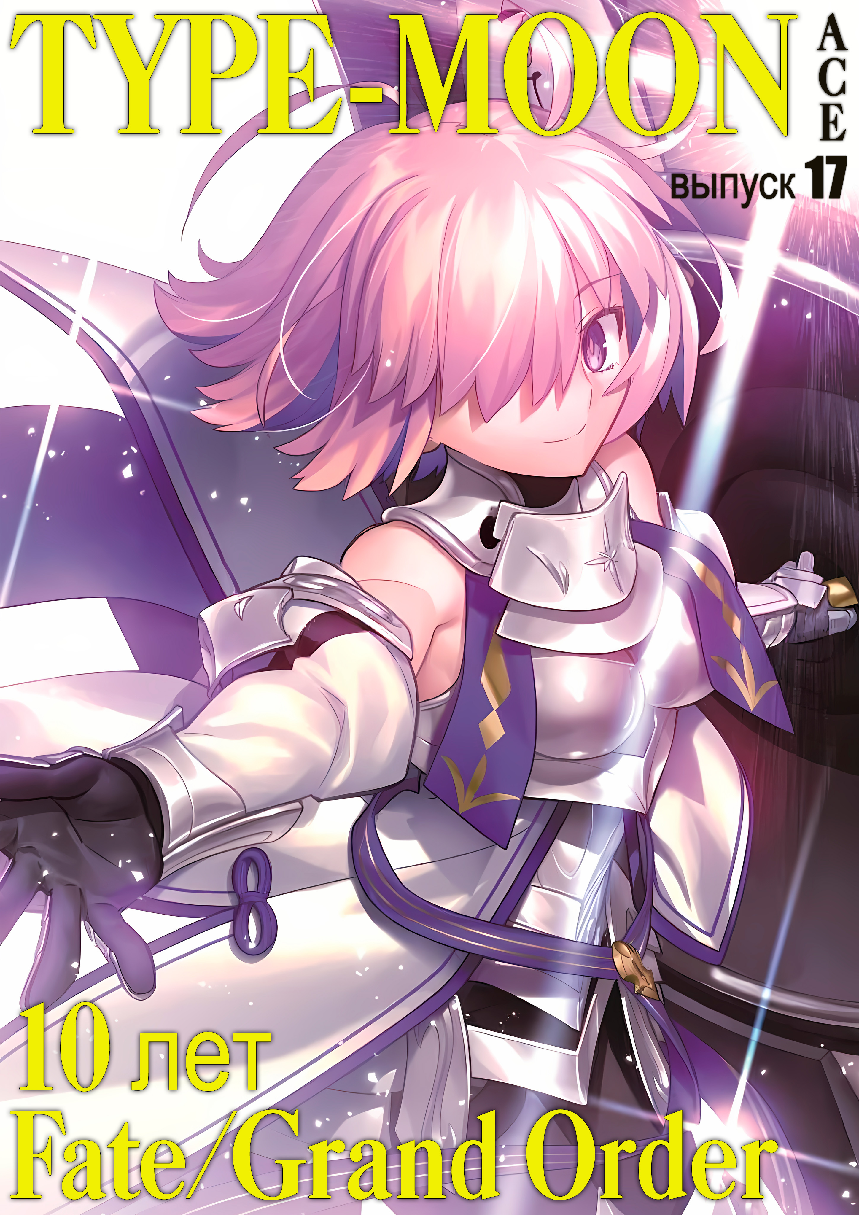 Type-Moon ACE — обложка